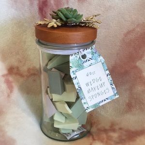 Cactus Succulent Glass Canister Make Up Sponge Collection NWT 40 Ct sponges NWT